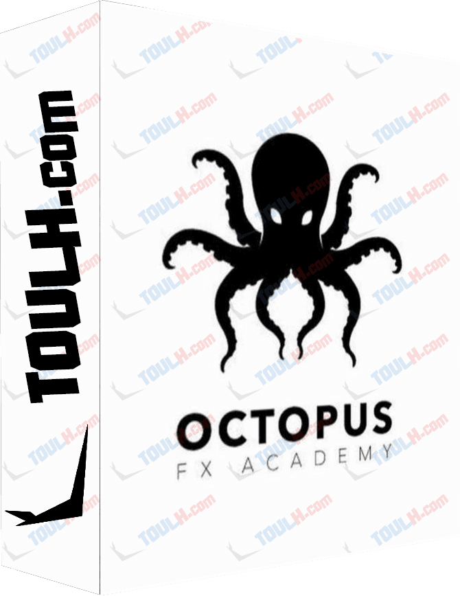 Octopus fx academy