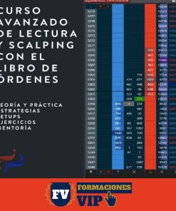 Curso Avanzado de lectura y scalping con el libro de órdenes
