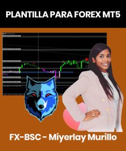 Plantilla para forex MT5 - FX-BSC - Miyerlay Murillo