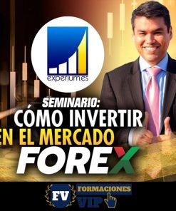 Seminario como invertir en el mercado Forex