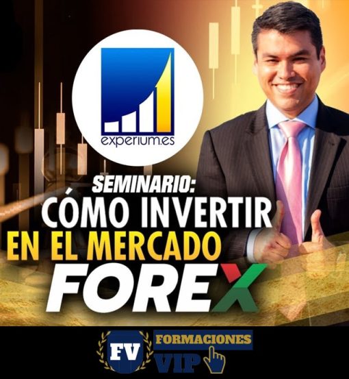 Seminario como invertir en el mercado Forex
