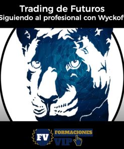 Trading de Futuros – Siguiendo al profesional con Wyckoff