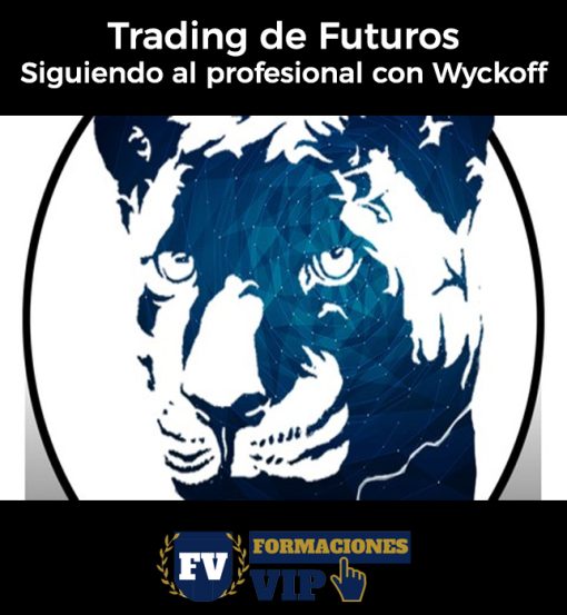 Trading de Futuros – Siguiendo al profesional con Wyckoff