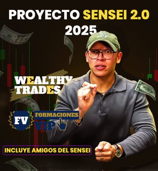 Proyecto Sensei 2.0 + Amigos del Sensei (2025) – Sebastián Rodríguez 📗📄