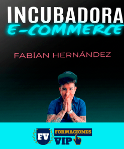 Incubadora E-Commerce