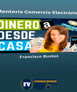Mentoría Comercio Electrónico