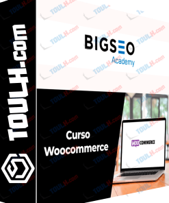 cursos Big Seo Academy